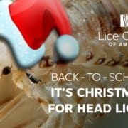 A louse wearing a Santa hat - don't let Back-to-School mean Christmas for head lice!