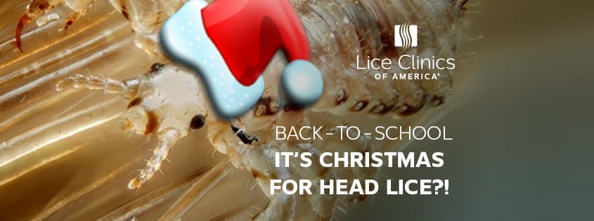 A louse wearing a Santa hat - don't let Back-to-School mean Christmas for head lice!